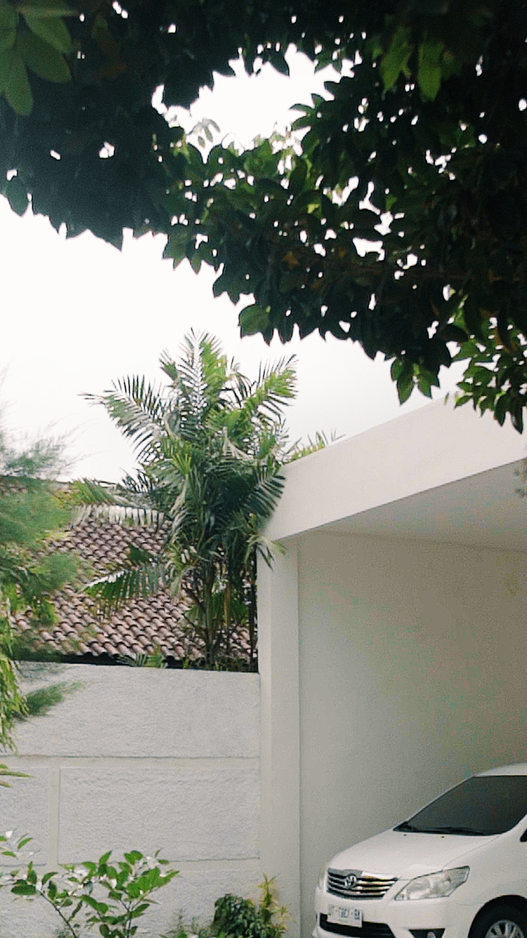 @hayatiliving — Modern comfort surrounded by endless greenery